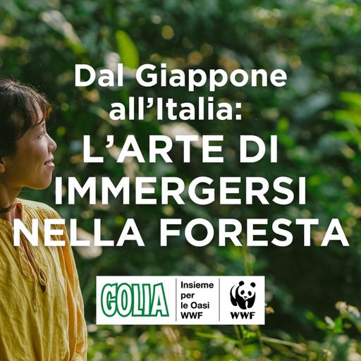 Dal Giappone all’Italia: l’arte di immergersi nella foresta