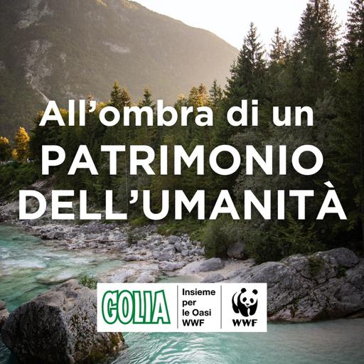 All'ombra di un patrimonio dell'umanità