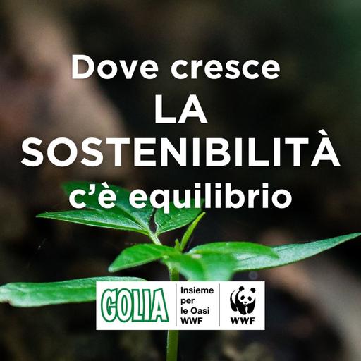 Dove cresce sostenibilità c'è equilibrio