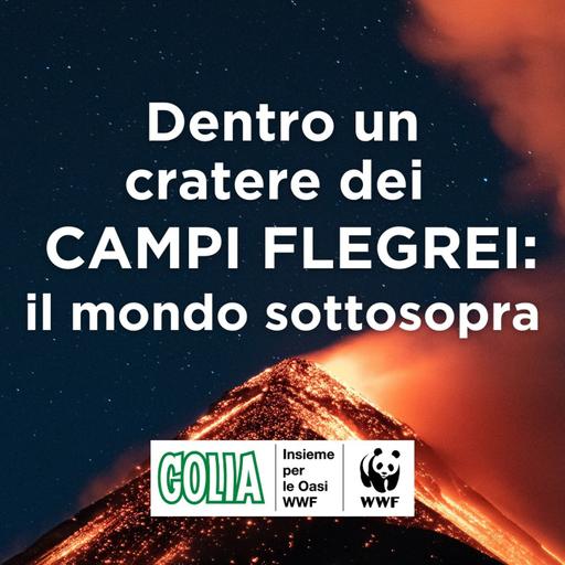 Dentro un cratere dei Campi Flegrei: il mondo sottosopra