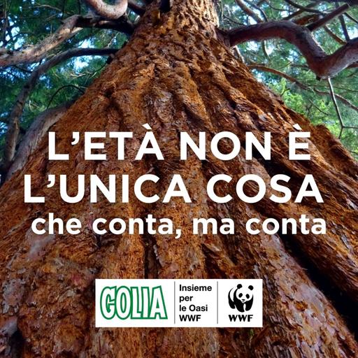 L'età non è l'unica cosa che conta, ma conta