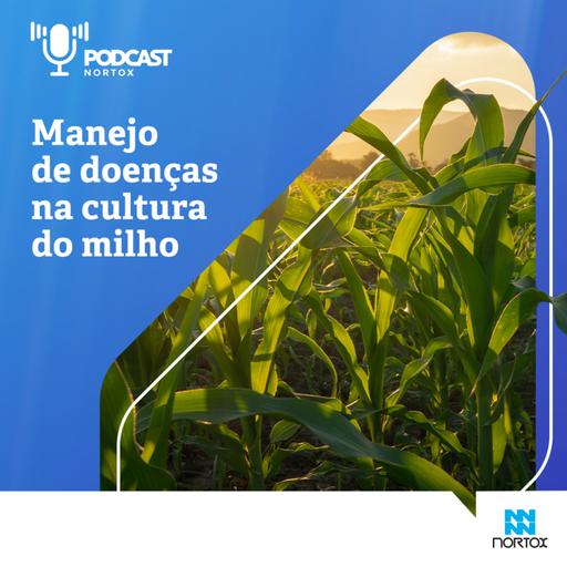 Podcast Nortox 011 | Manejo de doenças na cultura do milho