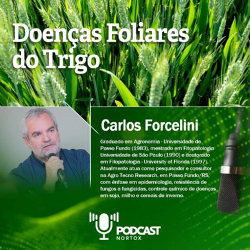 Podcast Nortox 007 | Doenças foliares do trigo