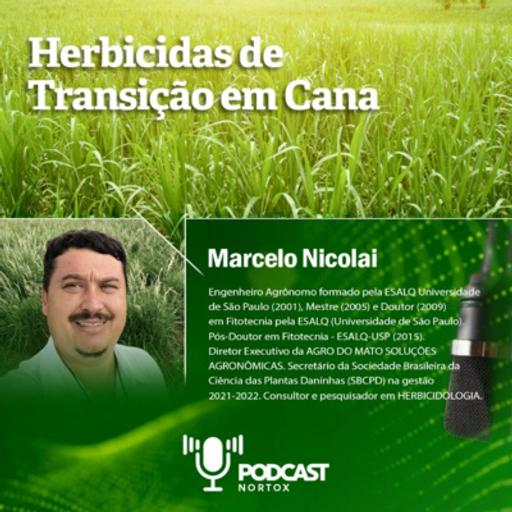 Podcast Nortox 006 | Herbicidas de Transição em Cana