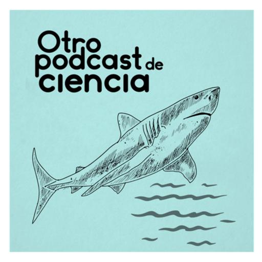Adaptaciones de la vida en el agua: Tiburones vs buzos