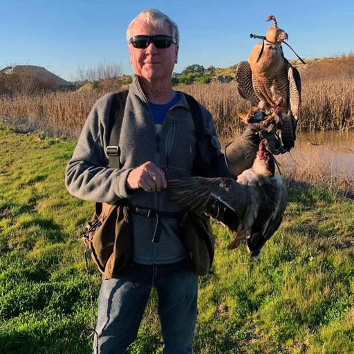 Episode 72: Bill Murphy, Peregrine Extradonaire