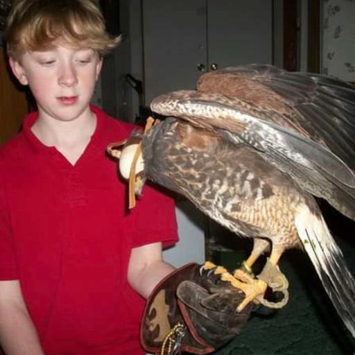 Episode 66: Falconry Apprentices Needed
