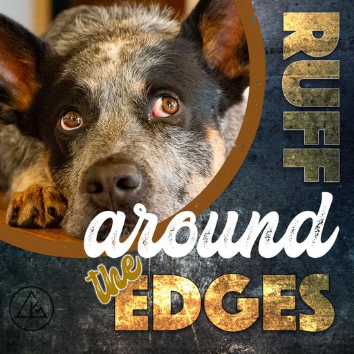 034 | Aimee of Pawfect Behavior on everything mindset and dogs and leaving the UK to be a Dubai dog trainer