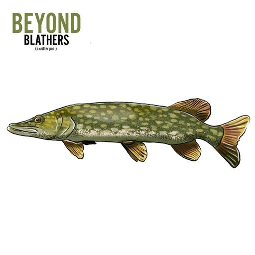 Pike
