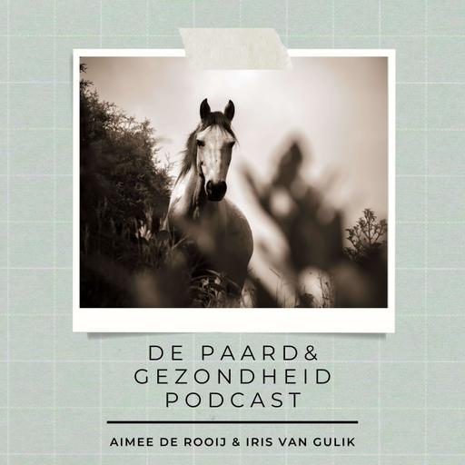 #131 Is het Friese paardenras ziek en hoe verbeteren we dat?