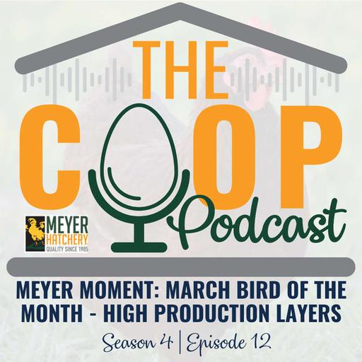 Meyer Moment: March Birds of the Month - High Production Layers