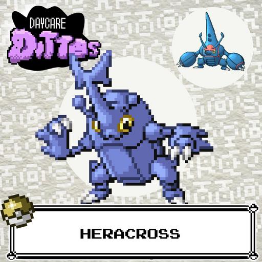 Heracross