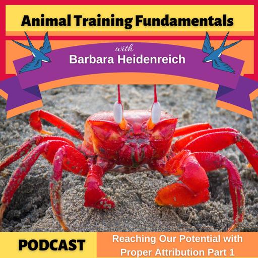 41-Reaching Our Potential with Proper Attribution Pt 1