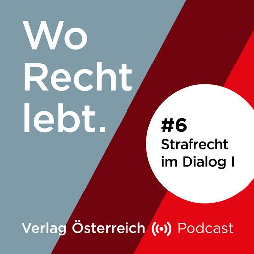#6 Strafrecht im Dialog I