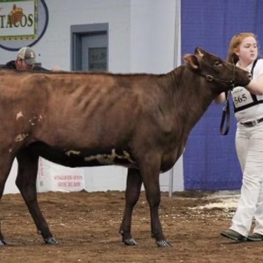 OFI 2029: A Passion For Dairy Cattle And Exhibiting Livestock | FFA SAE Edition | Joleigh Nailor | Cumberland Valley High School FFA
