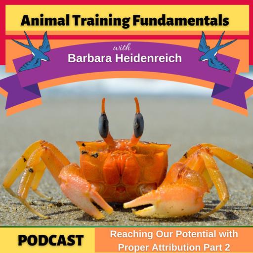 42-Reaching Our Potential with Proper Attribution Pt 2