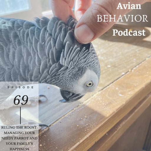70 Ruling the Roost: Managing your needy parrot and your family's happiness