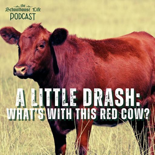 The Sabbath of the Red Heifer - A little drash