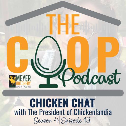 Chicken Chat with the President of Chickenlandia!