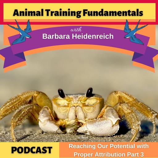 43-Reaching Our Potential with Proper Attribution Pt 3.