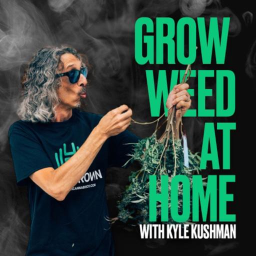 Nitrogen Fixing, Adapting to Indoor and Aged Cannabis with Swami Select and Kyle Kushman | GWAH |