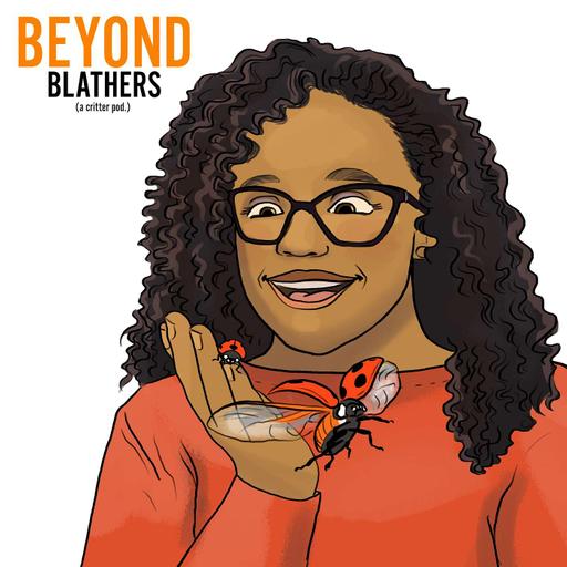 Ladybug with Dr. Jessica Ware