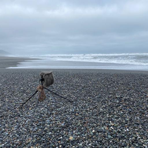 162: Gold Bluffs Beach- Low Tide in the Intertidal Zone