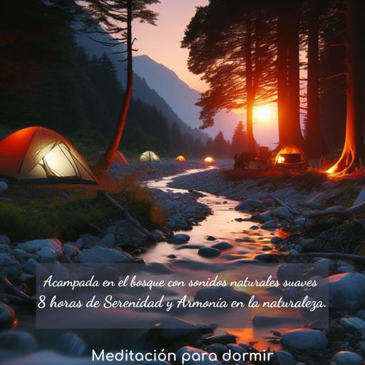 84. Relajación Guiada y Acampada en el bosque con sonidos naturales suaves |8 h. de Serenidad y Armonía en la naturaleza