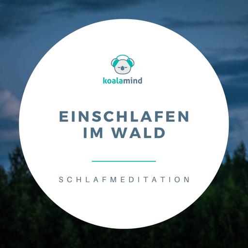 Einschlafmeditation: Einschlafen im Wald