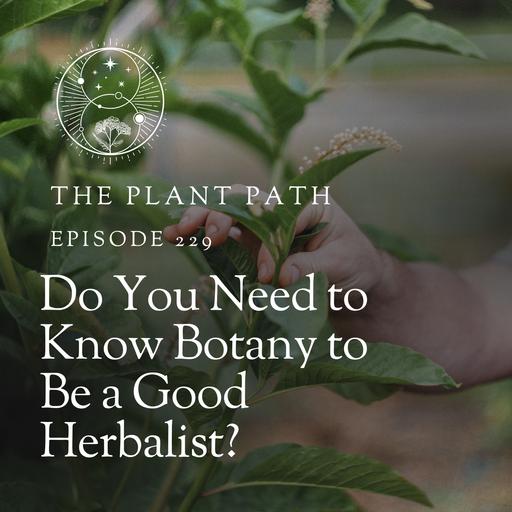 Do You Need to Know Botany to Be a Great Herbalist?