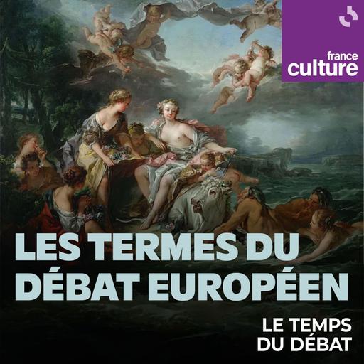 Les termes du débat européen 14/14 : Allemagne, "Extrême droite"