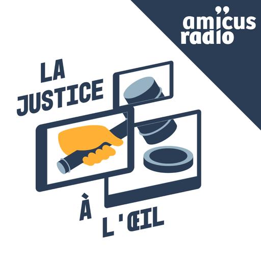 La justice au cinéma par Thibault de Ravel d’Esclapon | Le système judiciaire étasunien : l’avocat (3/3)