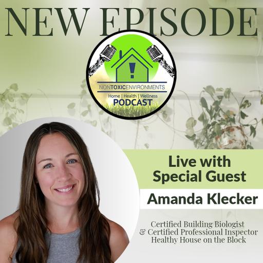 Professional Inspections for a Healthier Home; Amanda Klecker