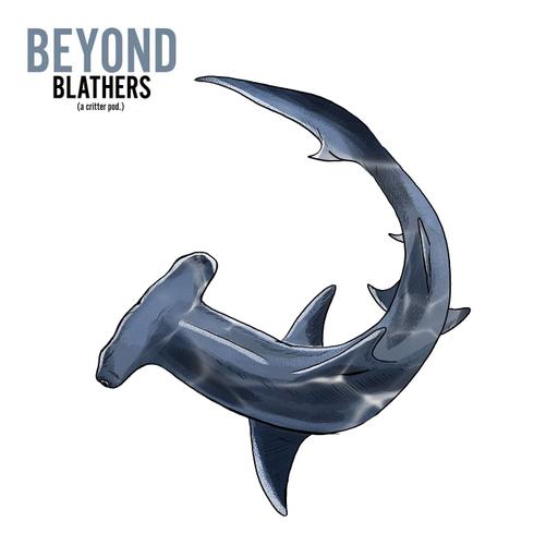 Hammerhead Shark