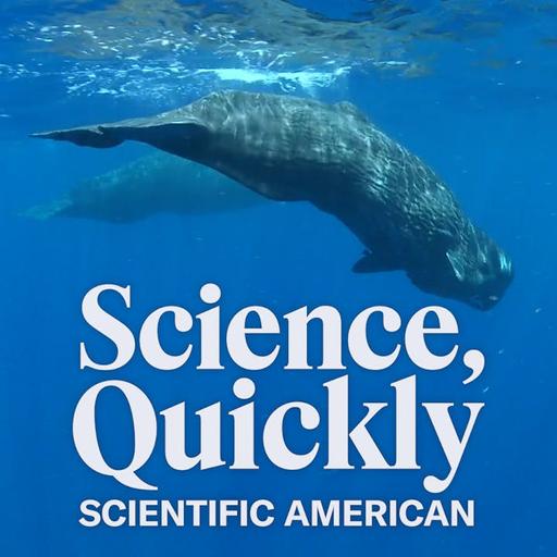 Do Sperm Whales Have Culture?