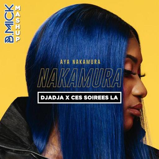 Aya Nakamura x Yannick - Djadja ces soirées là (B.Mick Mashup)