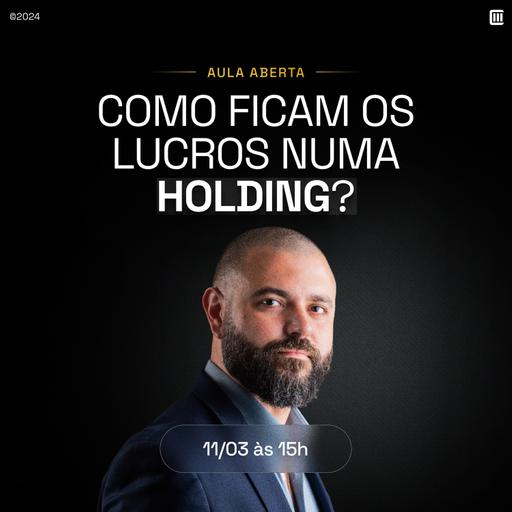 Como ficam os lucros numa Holding?