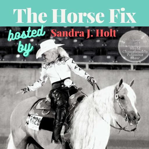 Unbridled Conversations with Nora Dhondt on horses, convictions, and life.