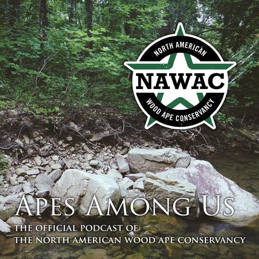 Apes Among Us Episode 17: A Conversation With Alton Higgins Part 2