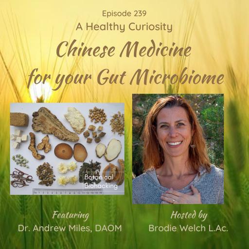 Chinese Medicine For Your Gut Microbiome