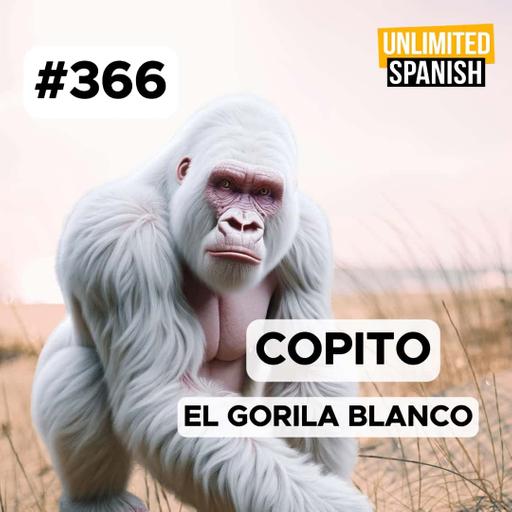#366 Copito - El gorila blanco de Barcelona
