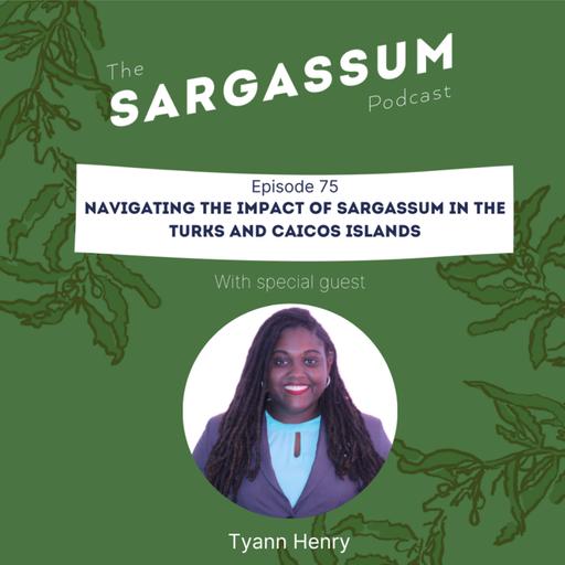 E75. Navigating the impact of sargassum in the Turks and Caicos Islands