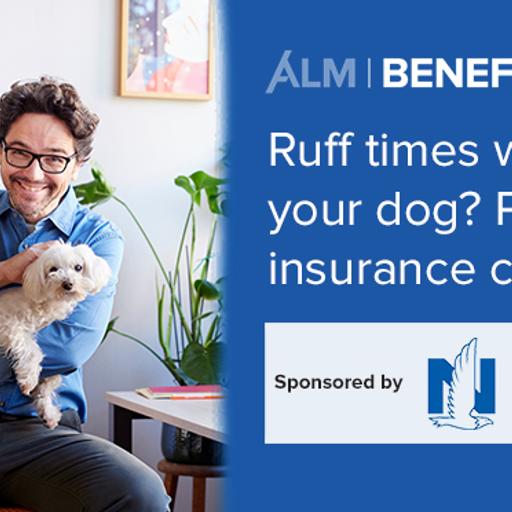 Ruff times with your dog? Pet insurance can help