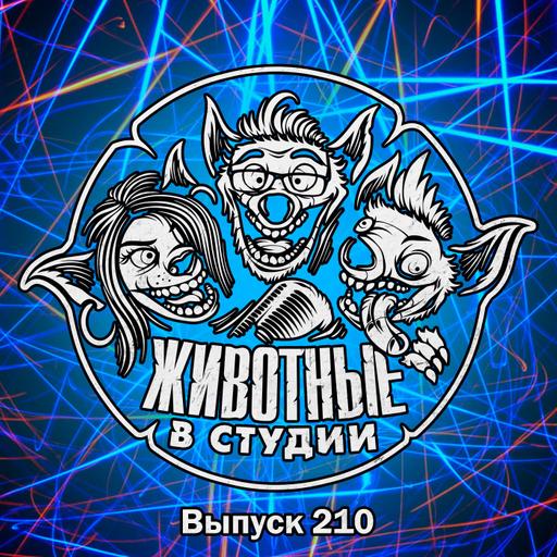 Выпуск 210. Сексуализируй это