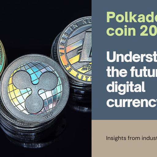 Polkadot coin 2024