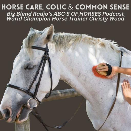 Christy Wood - Horse Care, Colic, and Common Sense