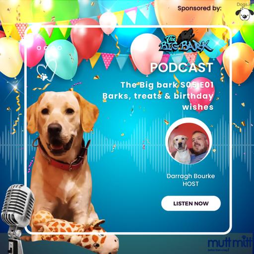 The Big Bark - S04E16 Episode #76 - Barks, Treats & birthday wishes