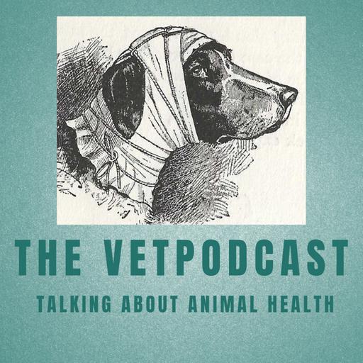Episode 74: Can I have a lift? - Better Veterinary Work Stories