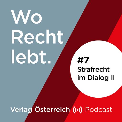 #7 Strafrecht im Dialog II