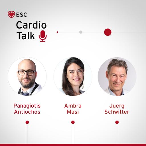 Journal Editorial - Quantitative myocardial perfusion and the power of numbers